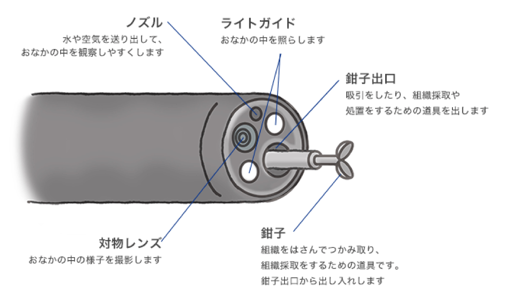 通常の太いカメラにくらべて、若干画質が劣る